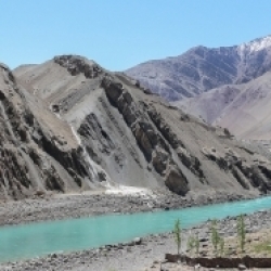 आल्ची